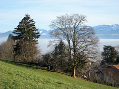 Riggisberg - Schweiz