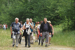 Randonnée Bombon-La Chapelle Gauthier-Bombon  - 20/06/2015