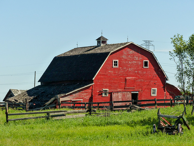 Bright and cheery in its old age