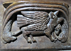 bovey tracey church, devon  , c16 misericord  (4)