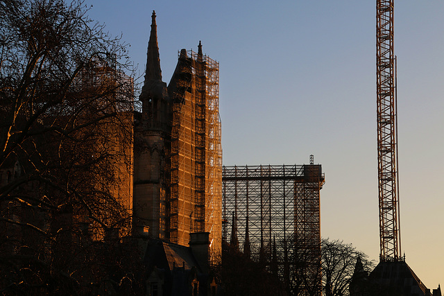 Paris . Notre-Dame de " chœur " en restauration , à 2 heures du matin je me demande ce qu'en pense Quasimodo ....Esmeralda m'invite à me recoucher , elle a froid aux pieds  .