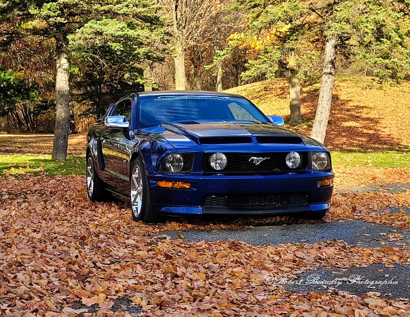 Ma Mustang GT 2007 Spécial California