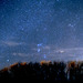 Starry, starry night - Orion above the willows
