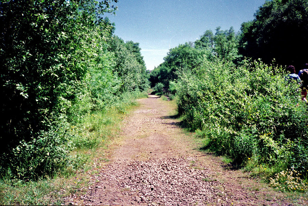Section of the Monsal Trail (Scan from June 1989)