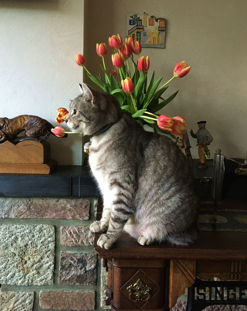 Il est pas beau mon profil ?