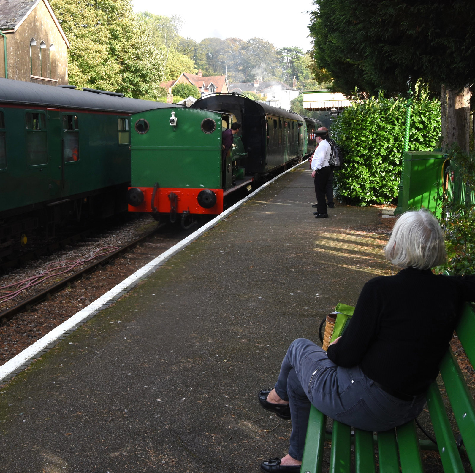 Lady sitting on bench watching the train arrive.