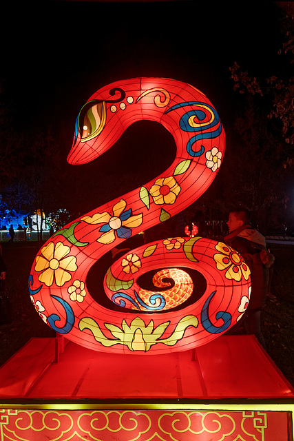 Signe du zodiaque : le Serpent (蛇)