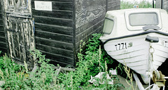 WHITE BOAT