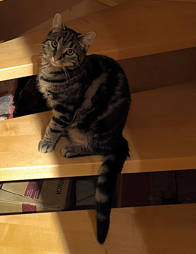 IMG 20251115 214943(2)