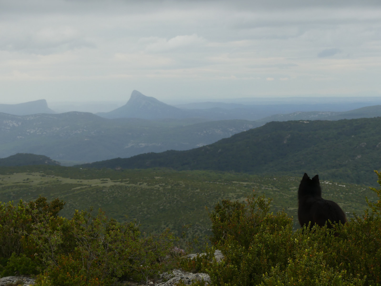 20160602 Fee Mt Baudille (42) al