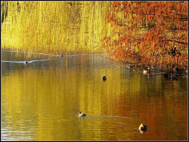 Spring moments