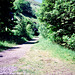 Section of the Monsal Trail (Scan from June 1989)