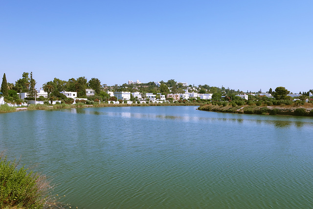 The Punic Militrary Harbour