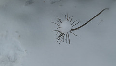 Bon mardi mes amis Bon mardi mes amis