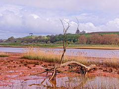Budleigh Salterton, Devon