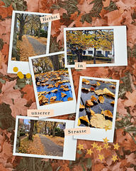 Autumn in our street ❤