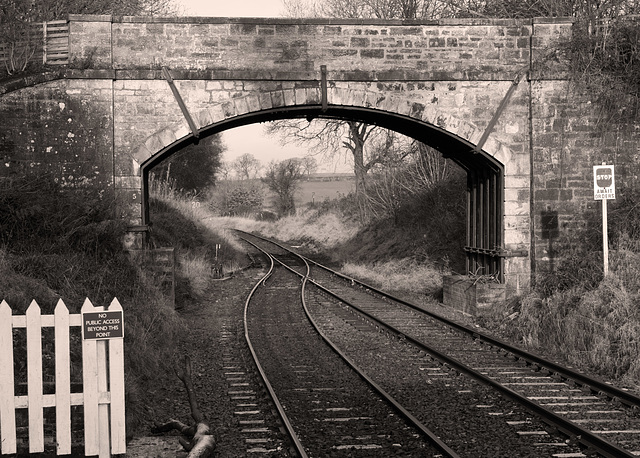 Bridge at Birkhill station