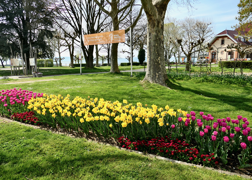 Park am Bodensee