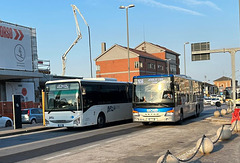 Barzi Bus Service Iveco and MOM (mobilità di marca) 7020 at Treviso – 1 Sep 2023 (JLS36) (Photo courtesy of Jane Slater)