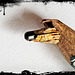 Bleistift abgebrochen