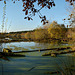 Blakemere Moss in Autumn