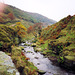 River Dane above Three Shires Head (scan from 1990)