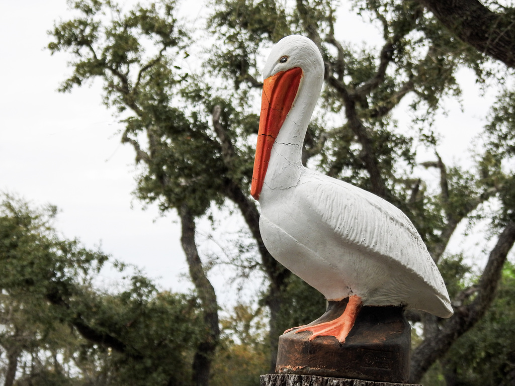 Day 1, statue, Pelican Bay Resort, southern Texas