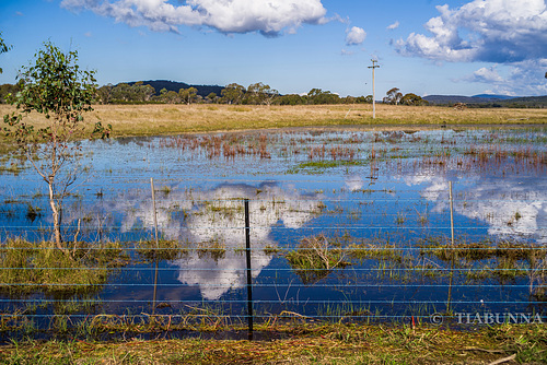 Two fences