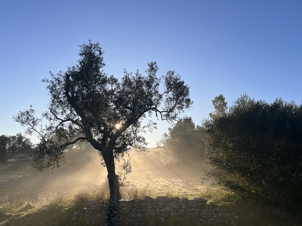 Penedos, Morning dew evaporating with the first warm sunrays