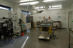 Une salle de la clinique vétérinaire