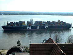 MSC ARIANE vor Blankenese