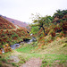 Looking upstream along the River Dane at Three Shires Head (scan from 1990)