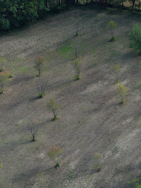 20160926 Rando solo St Etienne Courgas (13) al