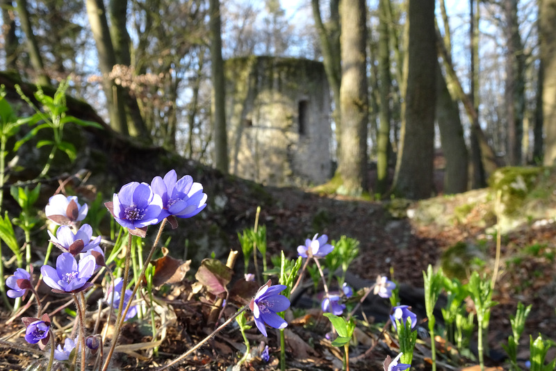 ruinöser Frühling