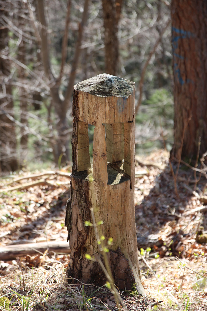 Es war einmal ein Baum...