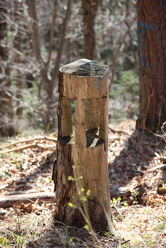 Es war einmal ein Baum...