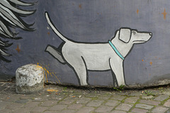 Der besondere Gassibaum