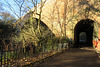 river kelvin , glasgow (24)