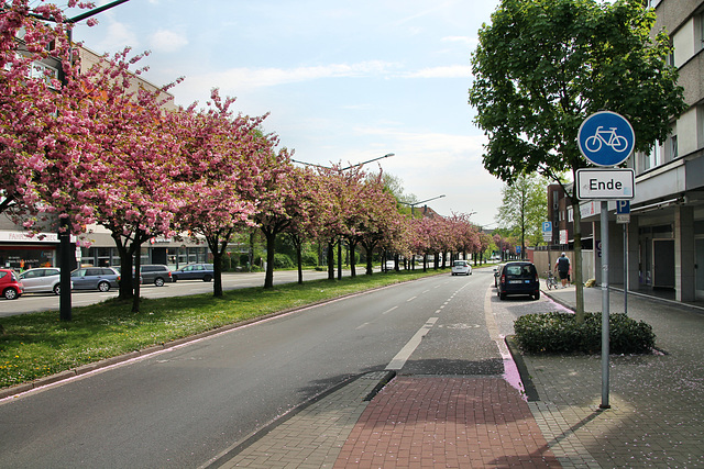 Theodor-Heuss-Straße (Herten-Mitte) / 22.04.2018