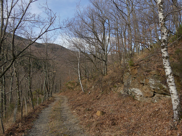 20190309 Rando solo Chalet de l'Aigle (Lozere) (7)