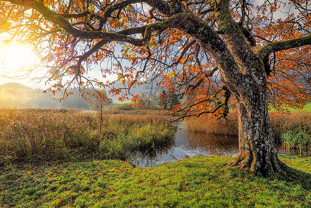 Herbst am Egelsee