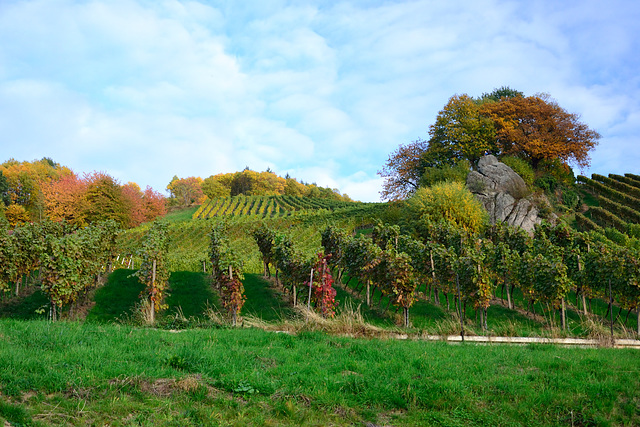 Vignes et rochers Kappelrodeck