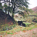 Three Shires Head, the small bridge that is near Pannier's pool (scan from 1990)