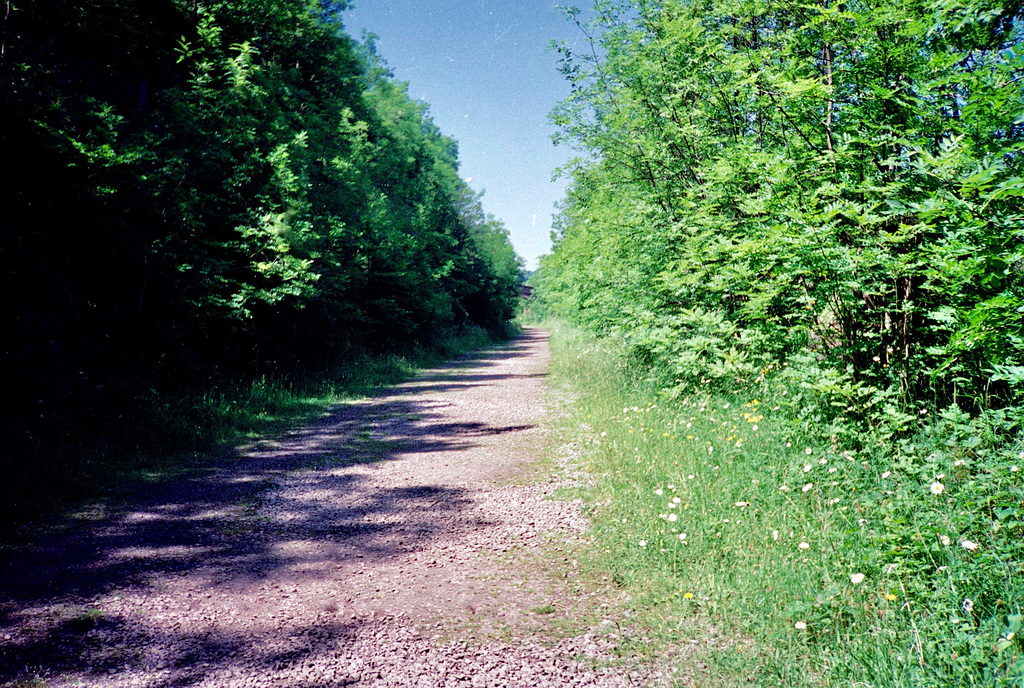 Section of the Monsal Trail (Scan from June 1989)