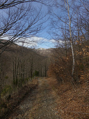 20190309 Rando solo Chalet de l'Aigle (Lozere) (10)