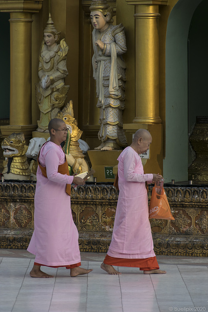 Szenen in der Shwedagon-Pagode (© Buelipix)