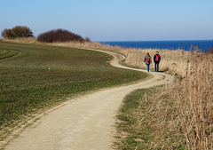 Küstenspaziergang bei Boltenhagen