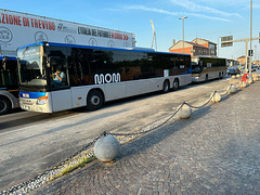 MOM buses at Treviso – 1 Sep 2023 (JLS40) (Photo courtesy of Jane Slater)