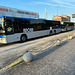 MOM buses at Treviso – 1 Sep 2023 (JLS40) (Photo courtesy of Jane Slater)