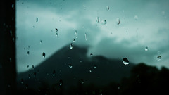 Bokeh und Regentropfen - Der Wildbarren im Hintergund